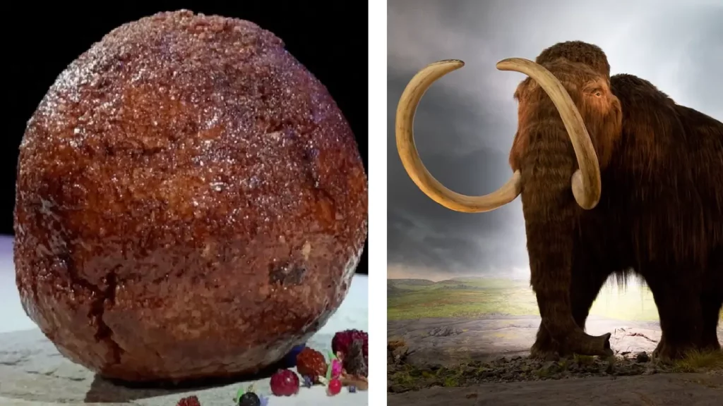 Meatballs made of mammoth meat have been produced as new food - A symbol of climate change- Would you eat it? NewsJive